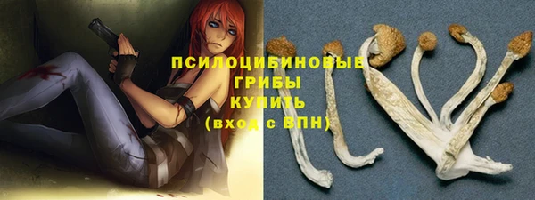 гидропоника Медвежьегорск